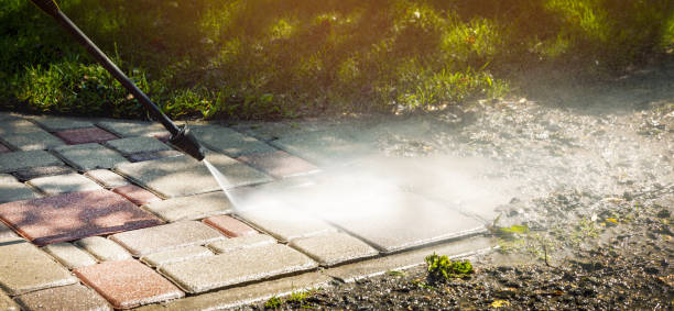 Best Spring Cleaning  in Bull Valley, IL