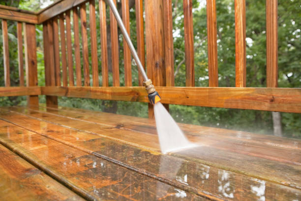 Animal Enclosure Cleaning in Bull Valley, IL